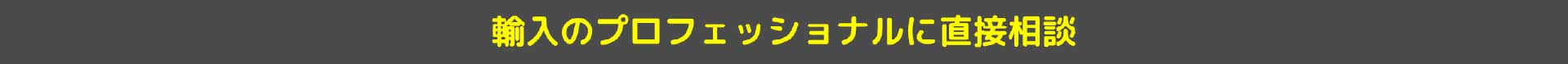 輸入のプロフェッショナルに直接相談